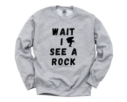 Geologist Sweater, Rock Lover Gift, Geology Sweatshirt Mens Womens Gift - 4701