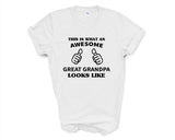 Awesome Grandpa T-Shirt, Great Grandpa Shirt Gift for Grandpa - 2878