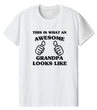 Grandpa shirt, Grandpa Gift, Awesome Grandpa t shirt- 1462