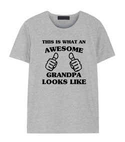 Grandpa shirt, Grandpa Gift, Awesome Grandpa t shirt- 1462