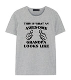 Grandpa shirt, Grandpa Gift, Awesome Grandpa t shirt- 1462