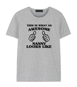 Nanny Shirt, Awesome Nanny T-Shirt Gift